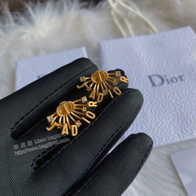 Dior飾品 迪奧經典熱銷新款耳環 金色復古字母CD耳釘  zgd1222